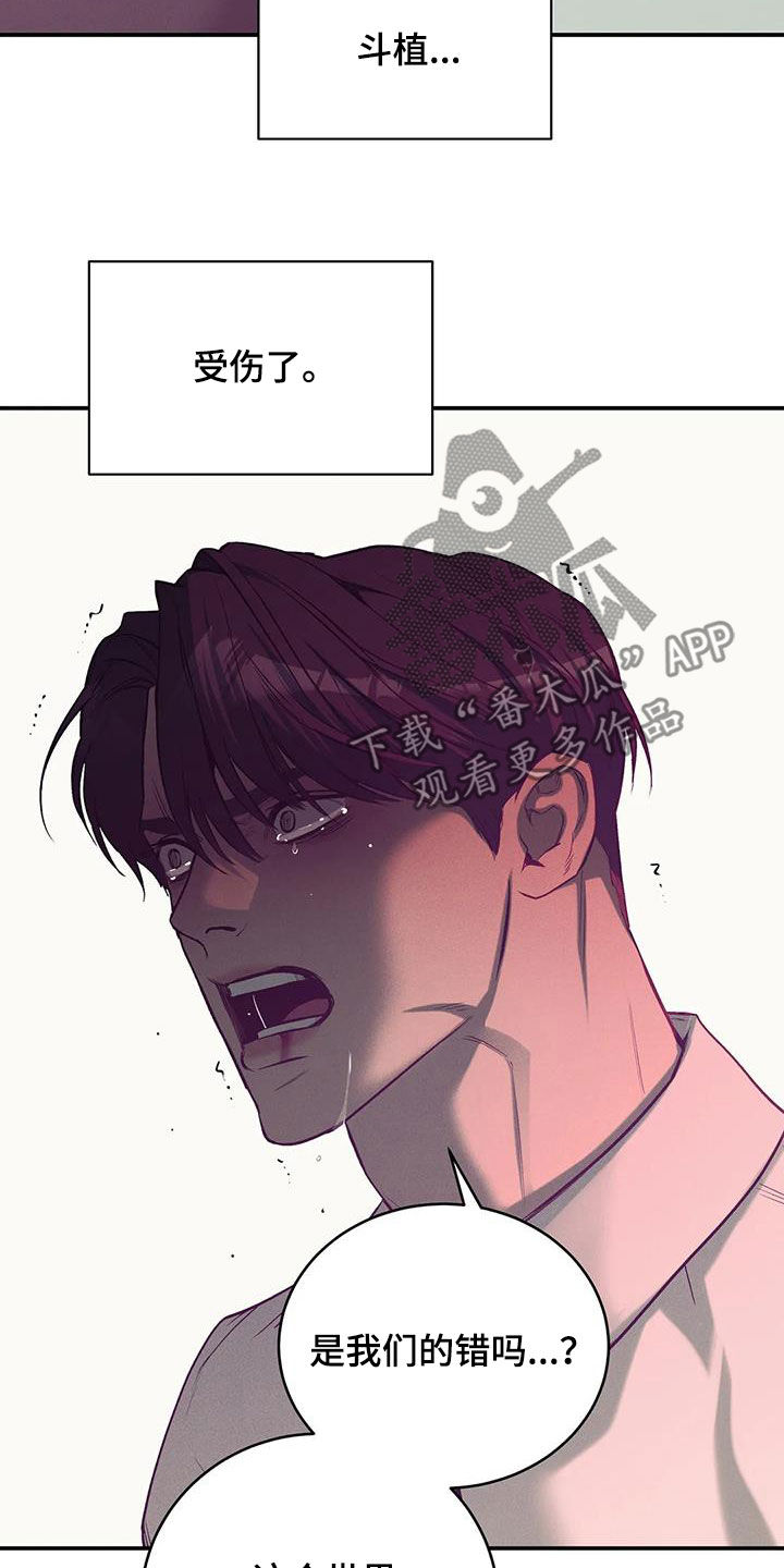 贝壳少年漫画第二部在哪里看漫画,第166章：【第三季】该结束了2图