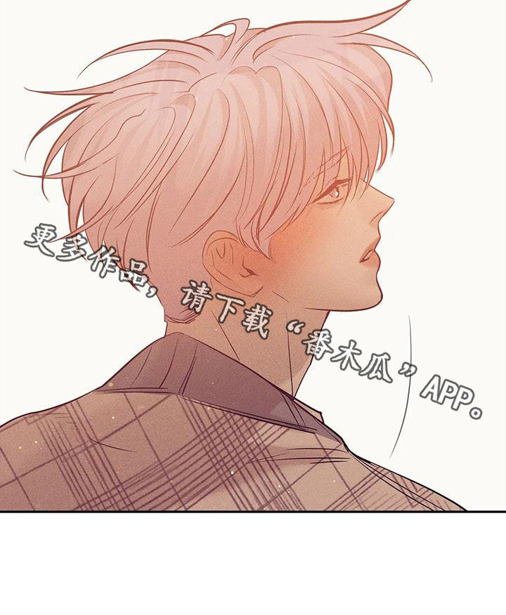 贝壳少年最新番外在线观看漫画,第135章：【第三季】散步5图