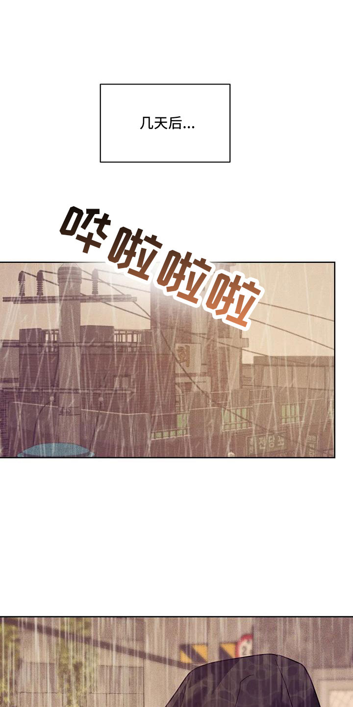 珍珠少年贝壳少年漫画,第154章：【第三季】契合拼图4图