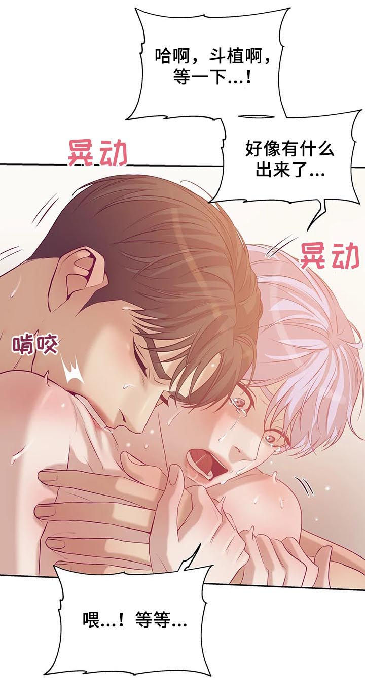 珍珠少年贝壳少年漫画,第57章：不能离开3图