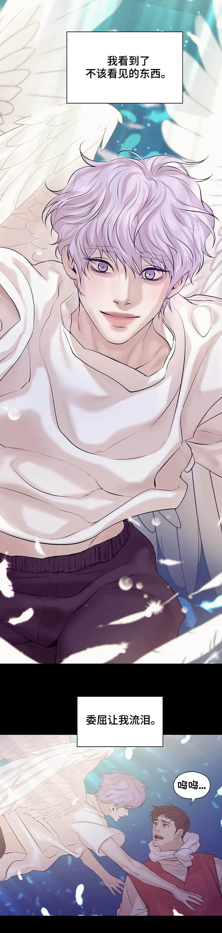 贝壳少年什么意思漫画,第84章：【第二季】翻车2图