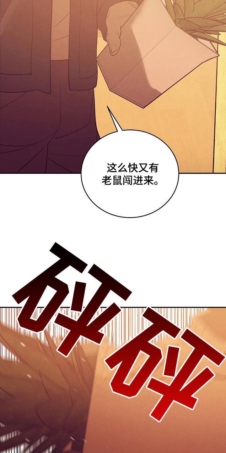 《贝壳少年》漫画,第175章：【第三季】转移5图