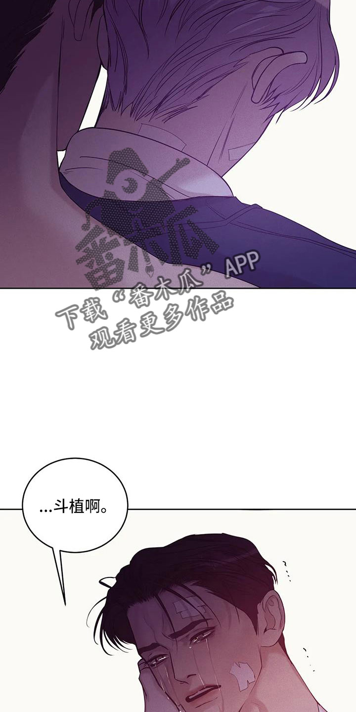 贝壳少年漫画,第153章：【第三季】来得太晚5图