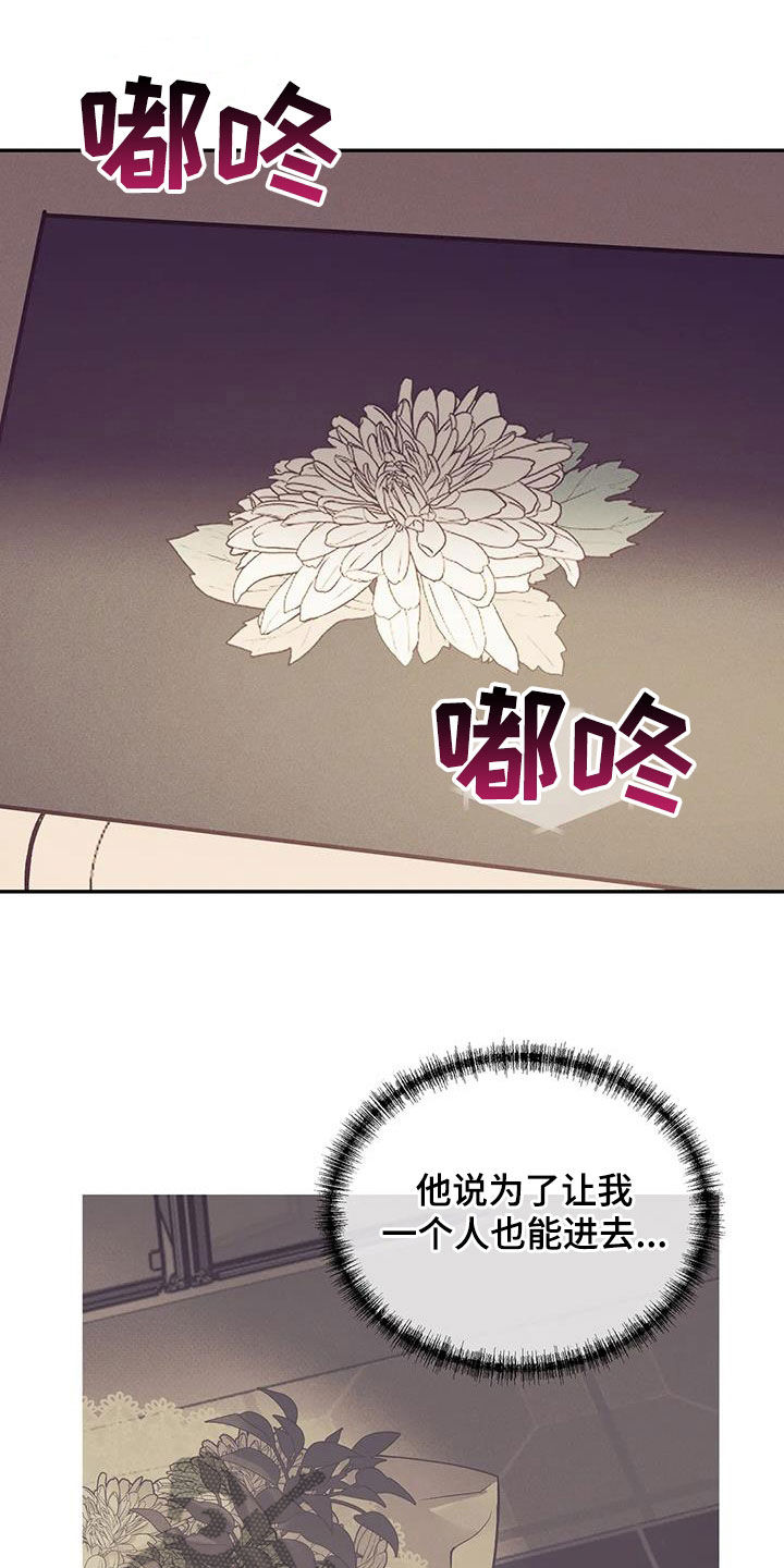 贝壳少年第二季免费观看漫画,第169章：【第三季】妥协4图