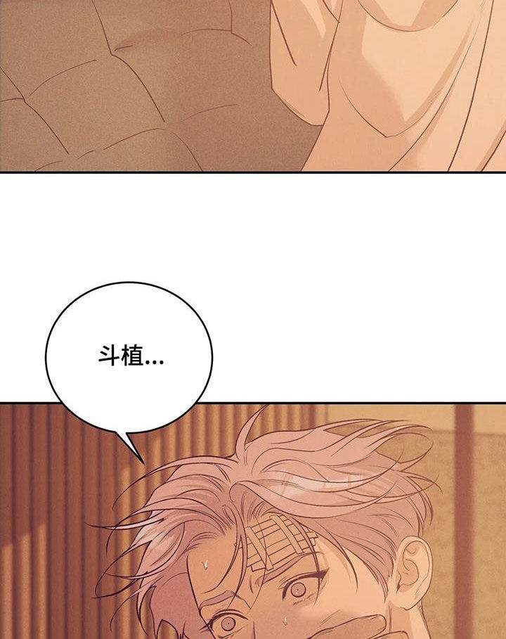 《贝壳少年》漫画,第175章：【第三季】转移4图