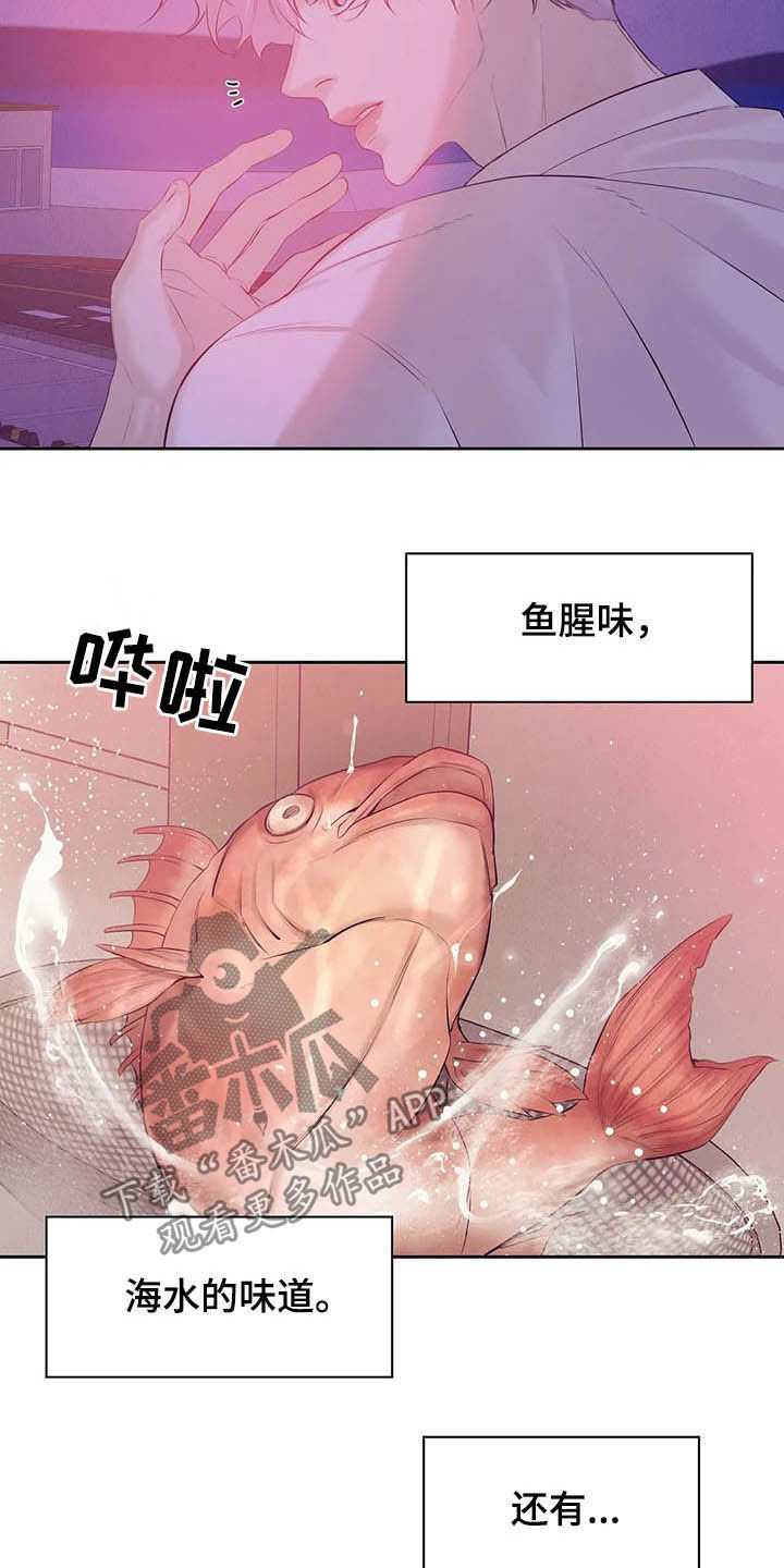 贝壳少年外传21漫画,第87章：【第二季】按兵不动5图