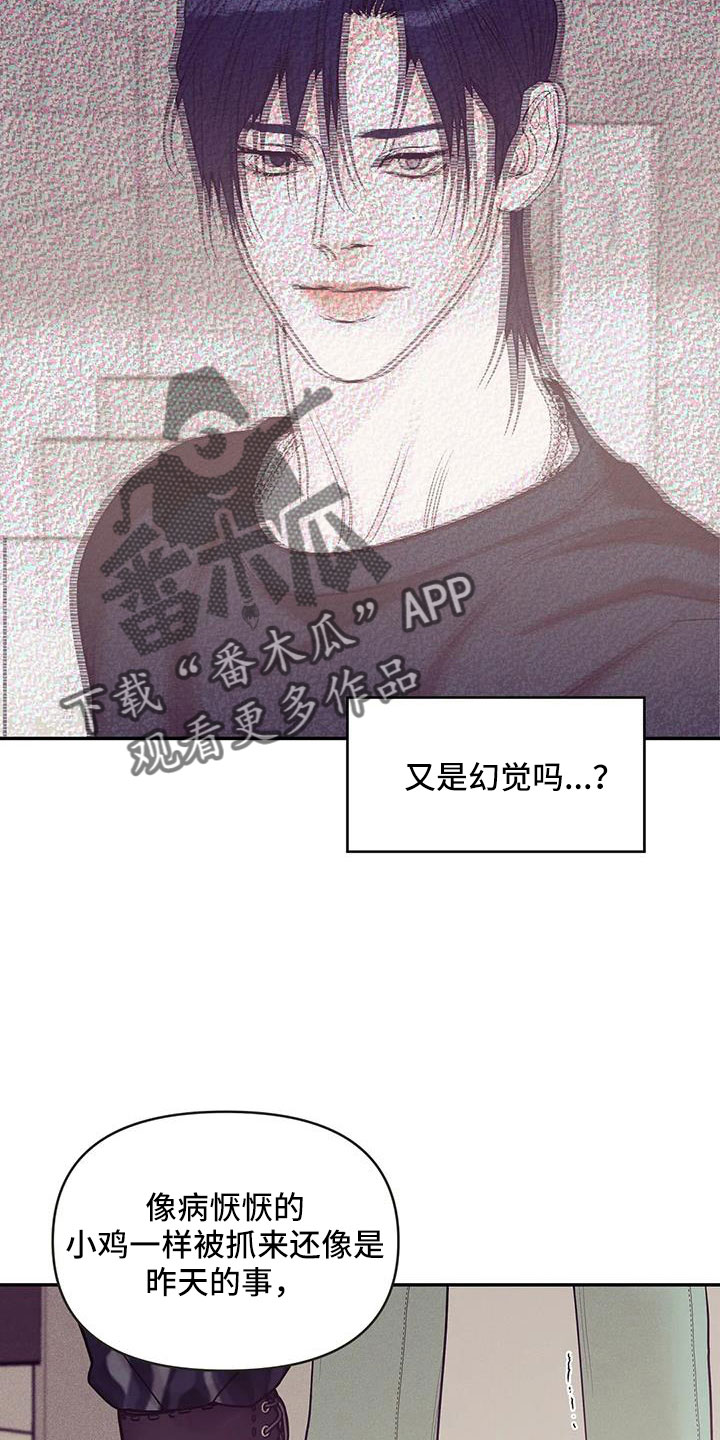 贝壳少年漫画,第143章：【第三季】遇袭5图