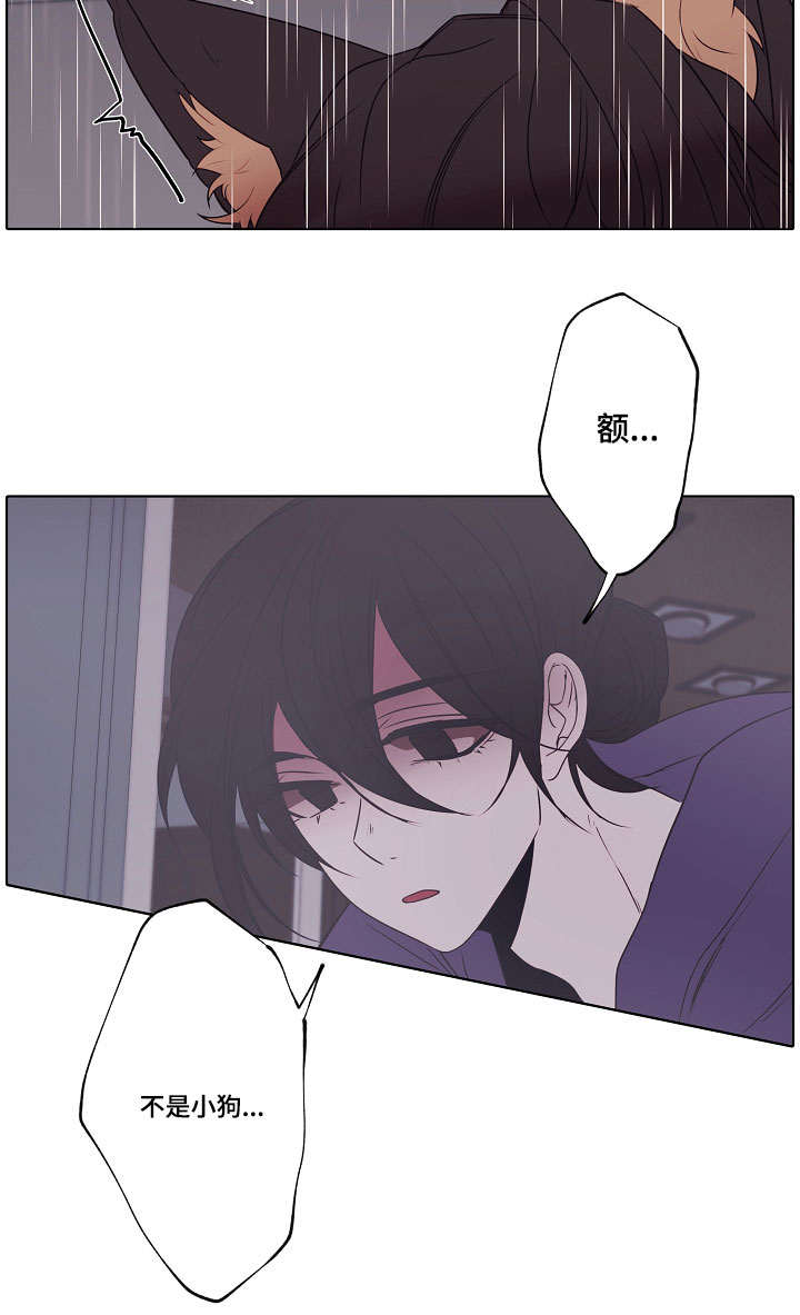 满月诅咒漫画,第1章：小白帽3图