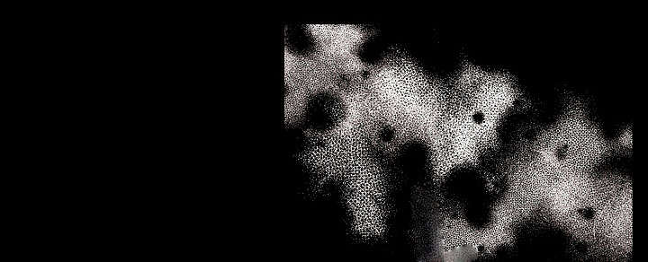 满月诅咒漫画,第19章：混乱1图