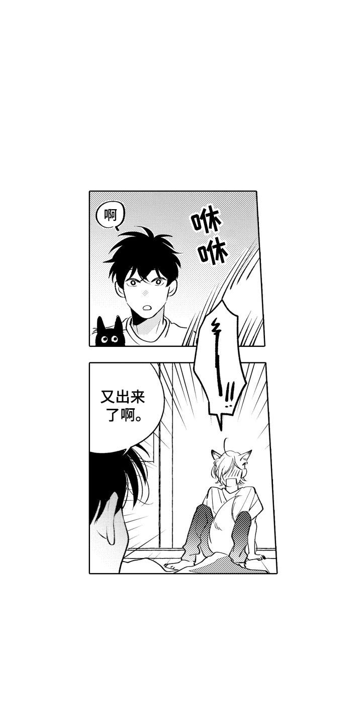 小狐狸abc漫画,第12章：不可抗力5图