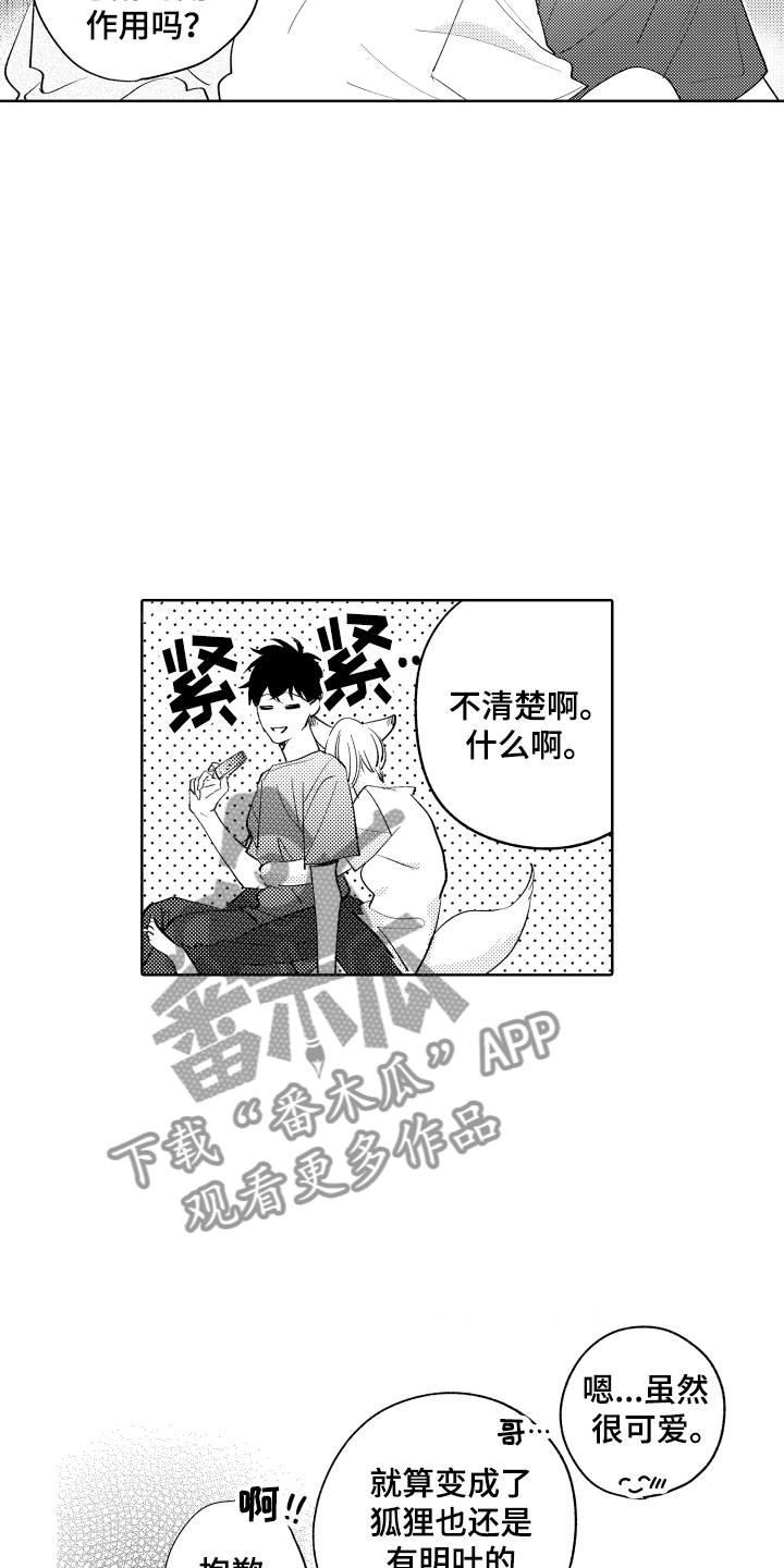 小狐狸软件漫画,第16章：可爱的奖励1图