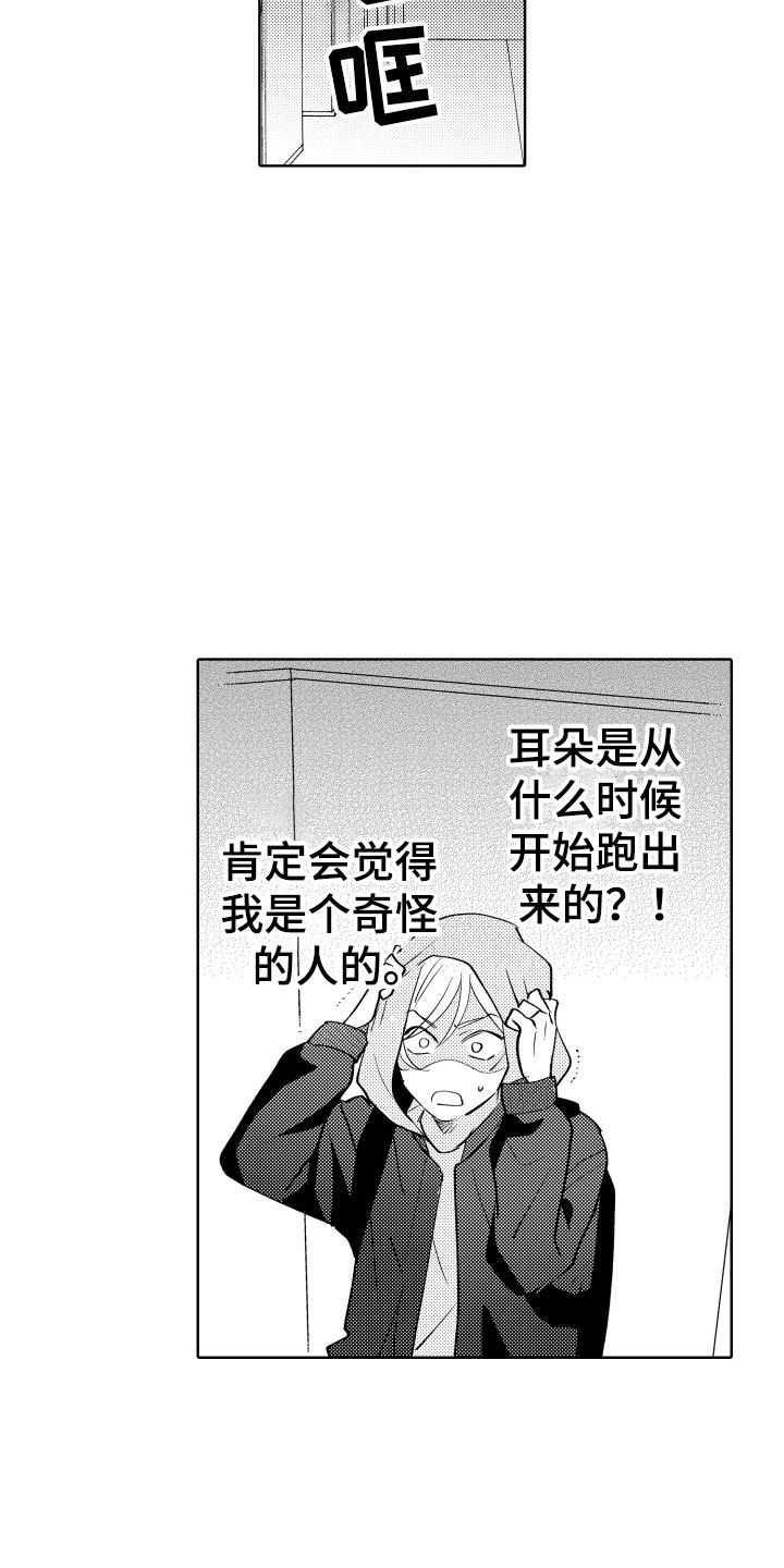 狐狸仆人和小蝴蝶漫画,第2章：出事了2图