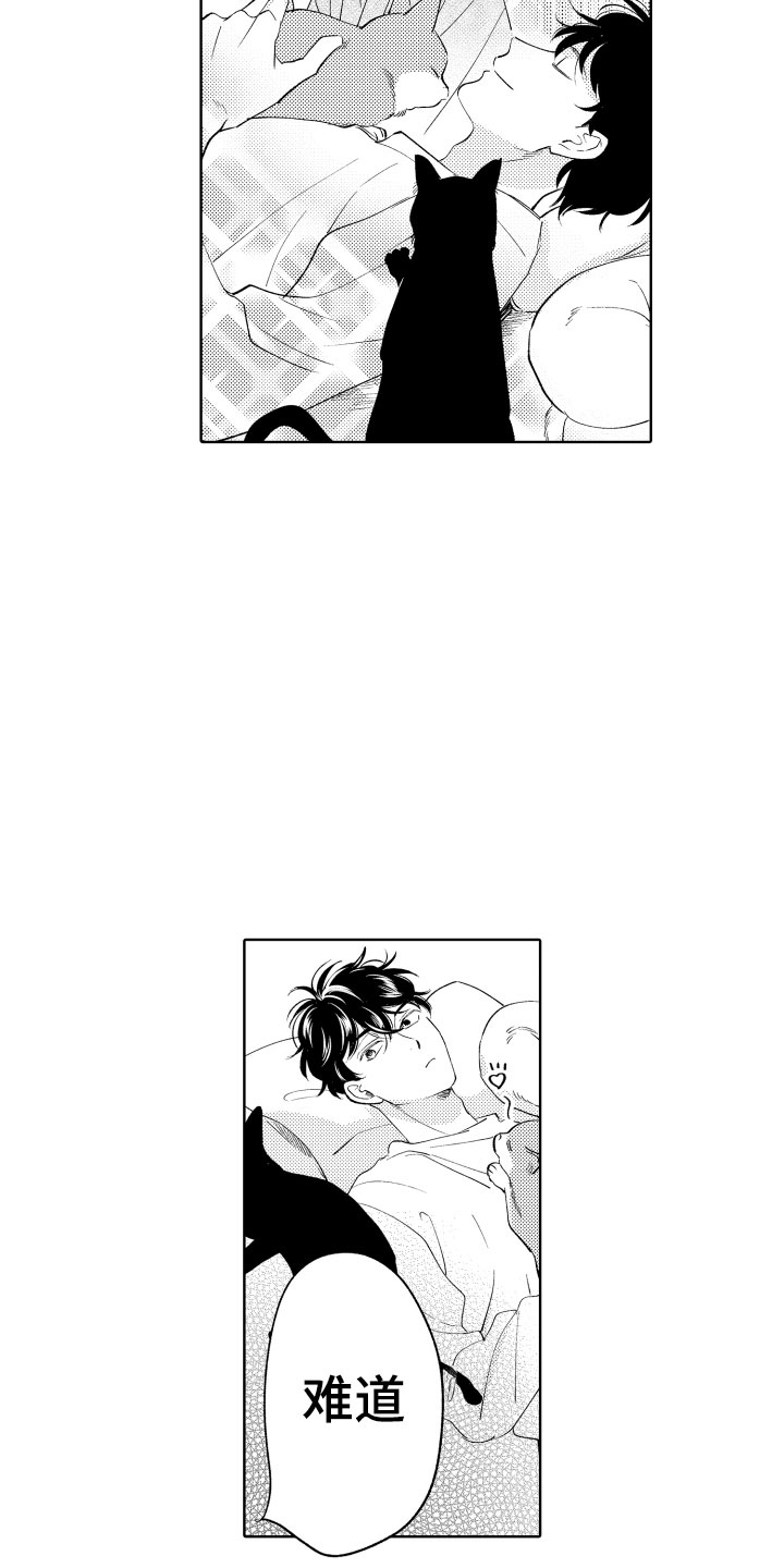 小狐狸abc漫画,第7章：如影随形3图