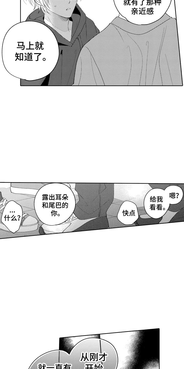 小狐狸abc漫画,第24章：选择我吧4图