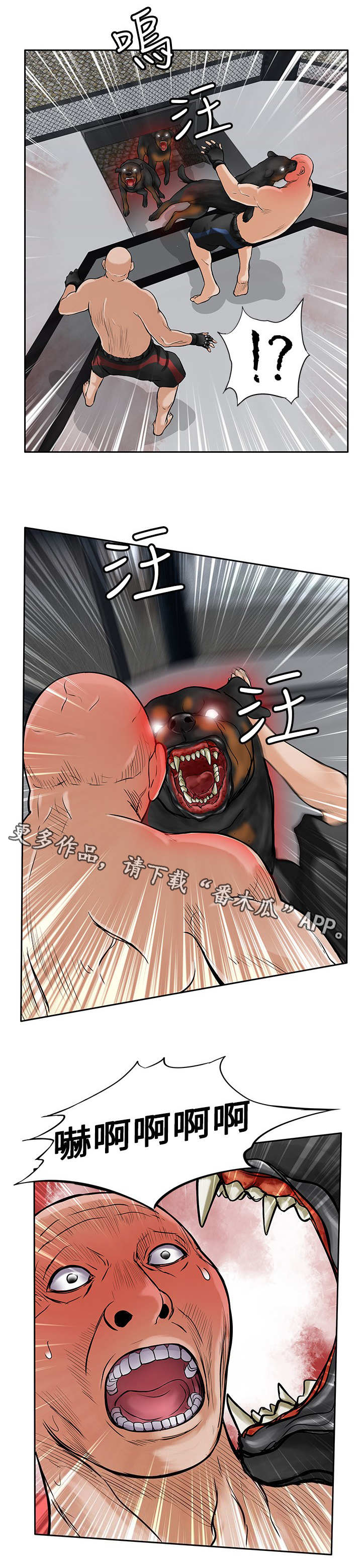 死斗练枪要注意啥漫画,第41章：疯狗2图