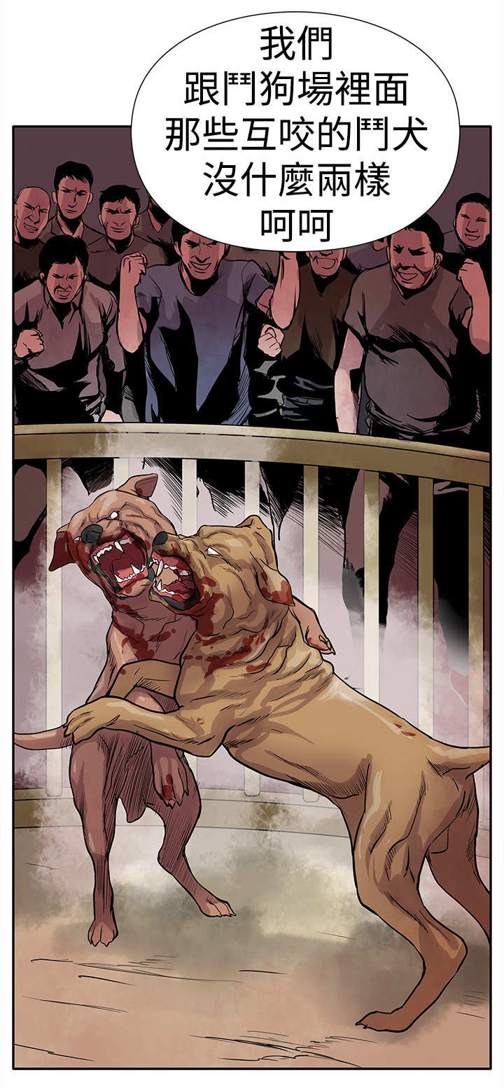 死斗练枪要注意啥漫画,第2章：狗咬狗3图