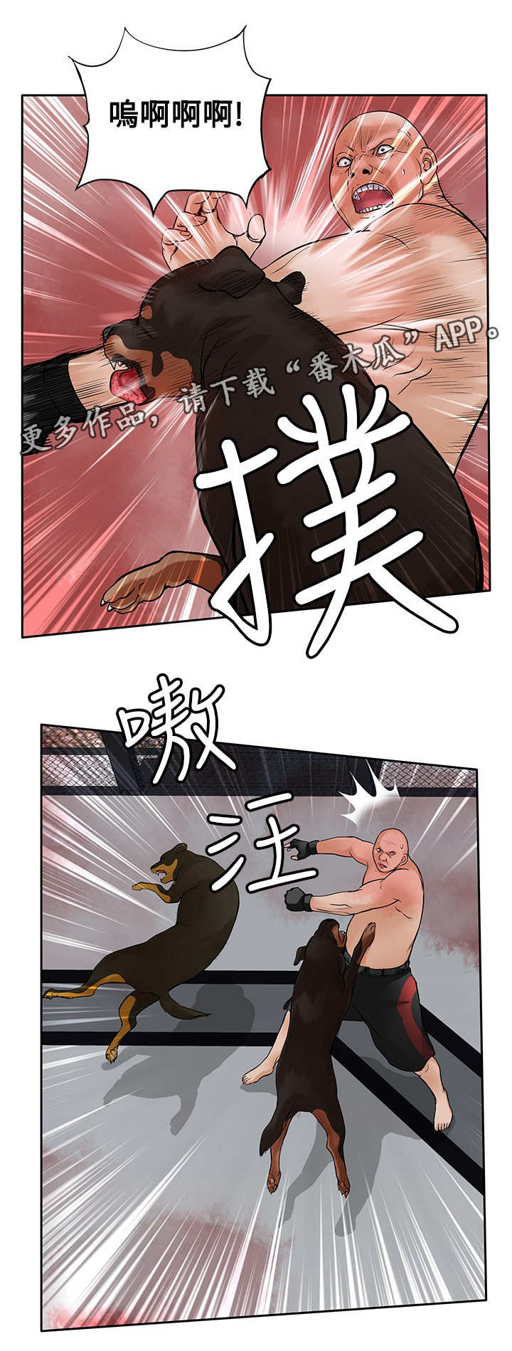 死斗练枪要注意啥漫画,第41章：疯狗3图