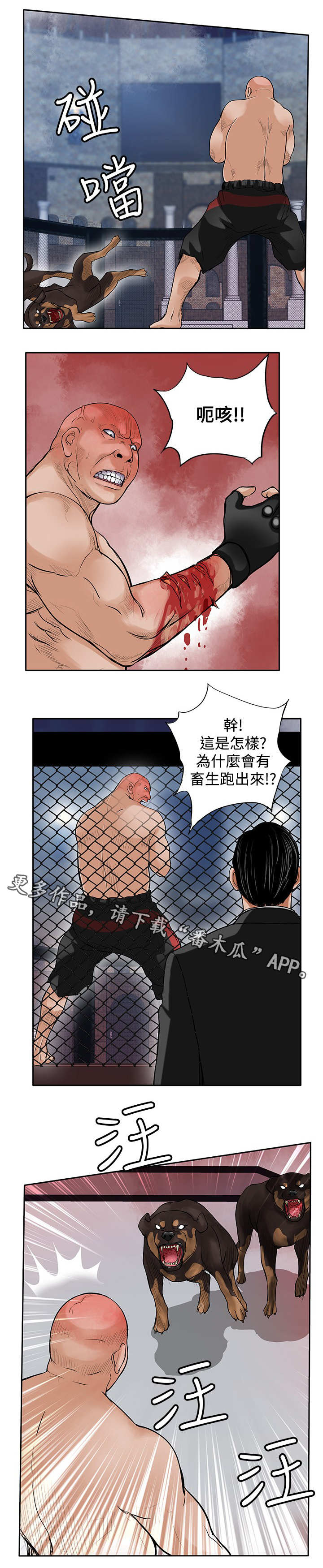 死斗模式跟段位有关吗漫画,第41章：疯狗2图