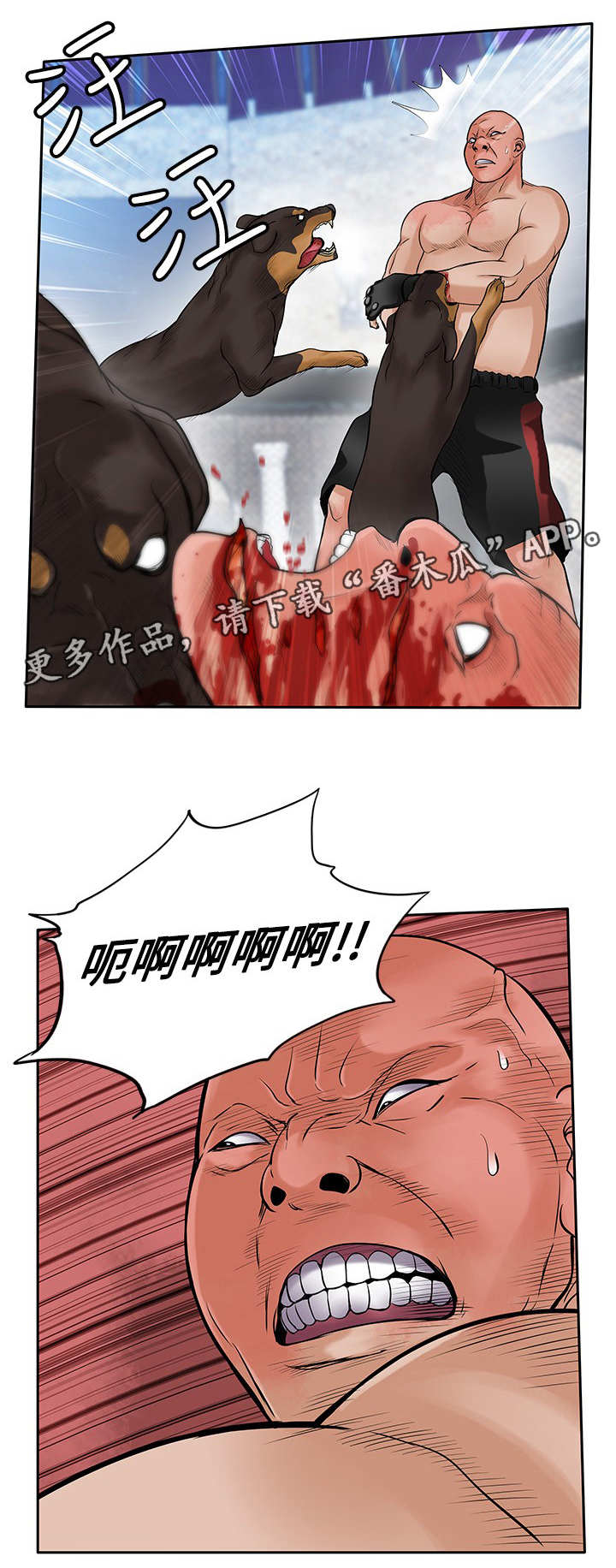 死斗练枪要注意啥漫画,第41章：疯狗5图