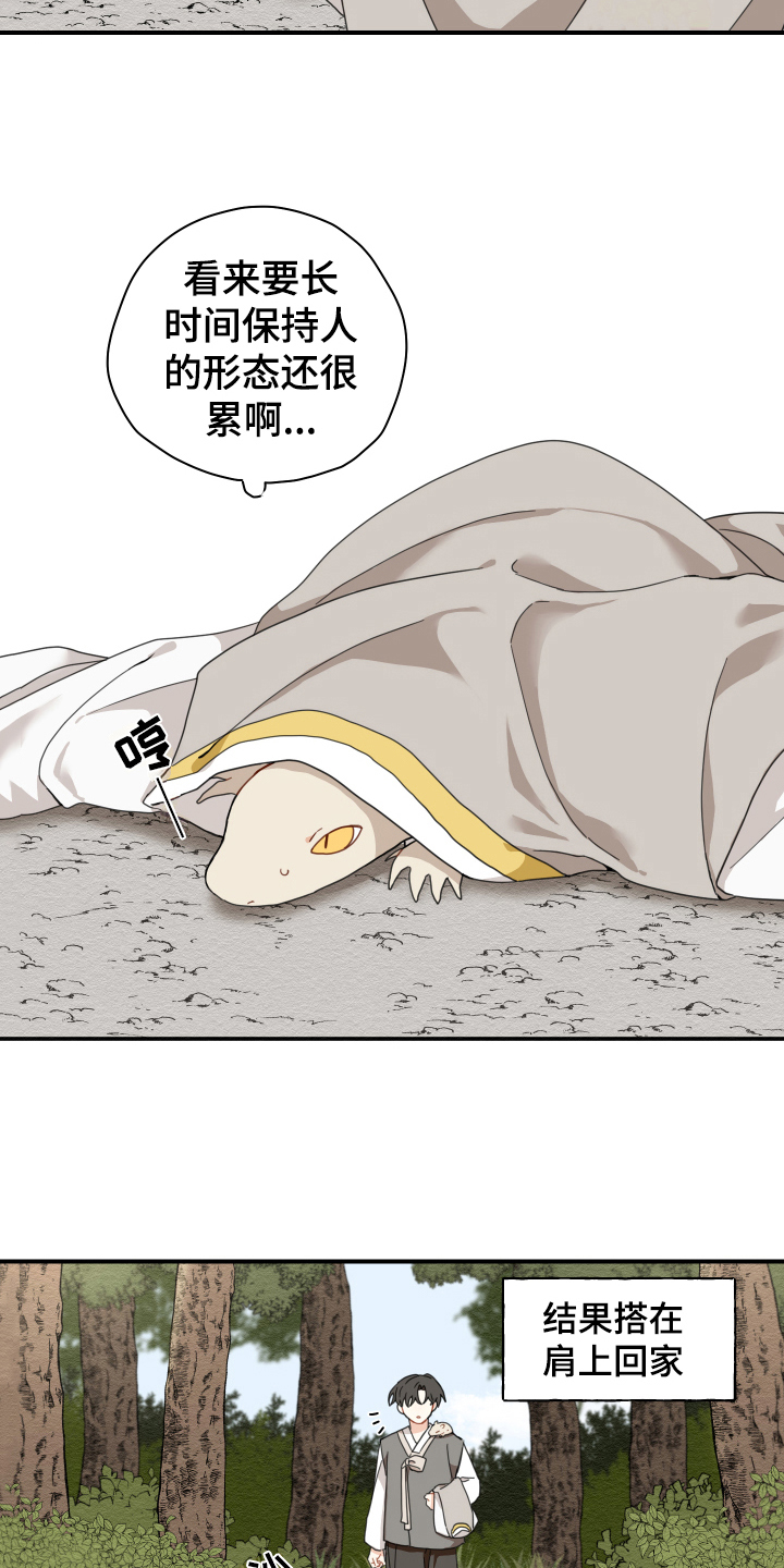 砚与龙漫画,第15章：体质4图