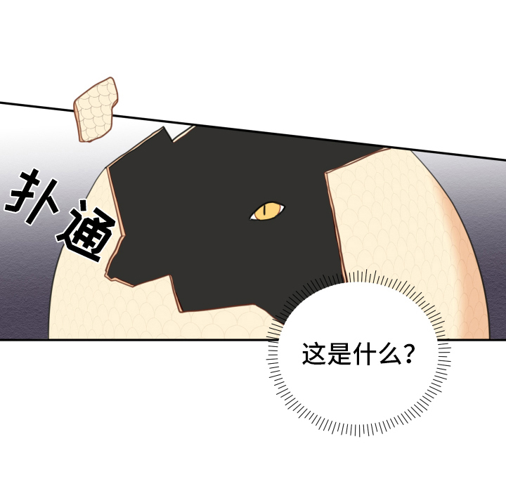 砚与龙完结了吗漫画,第2章：孵化3图