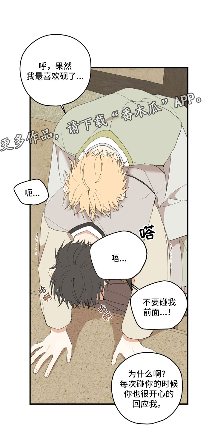 砚与龙完结了吗漫画,第44章：最喜欢了1图