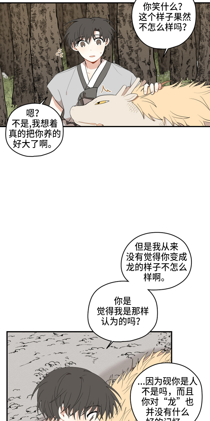 砚与龙完结了吗漫画,第42章：喜欢你5图
