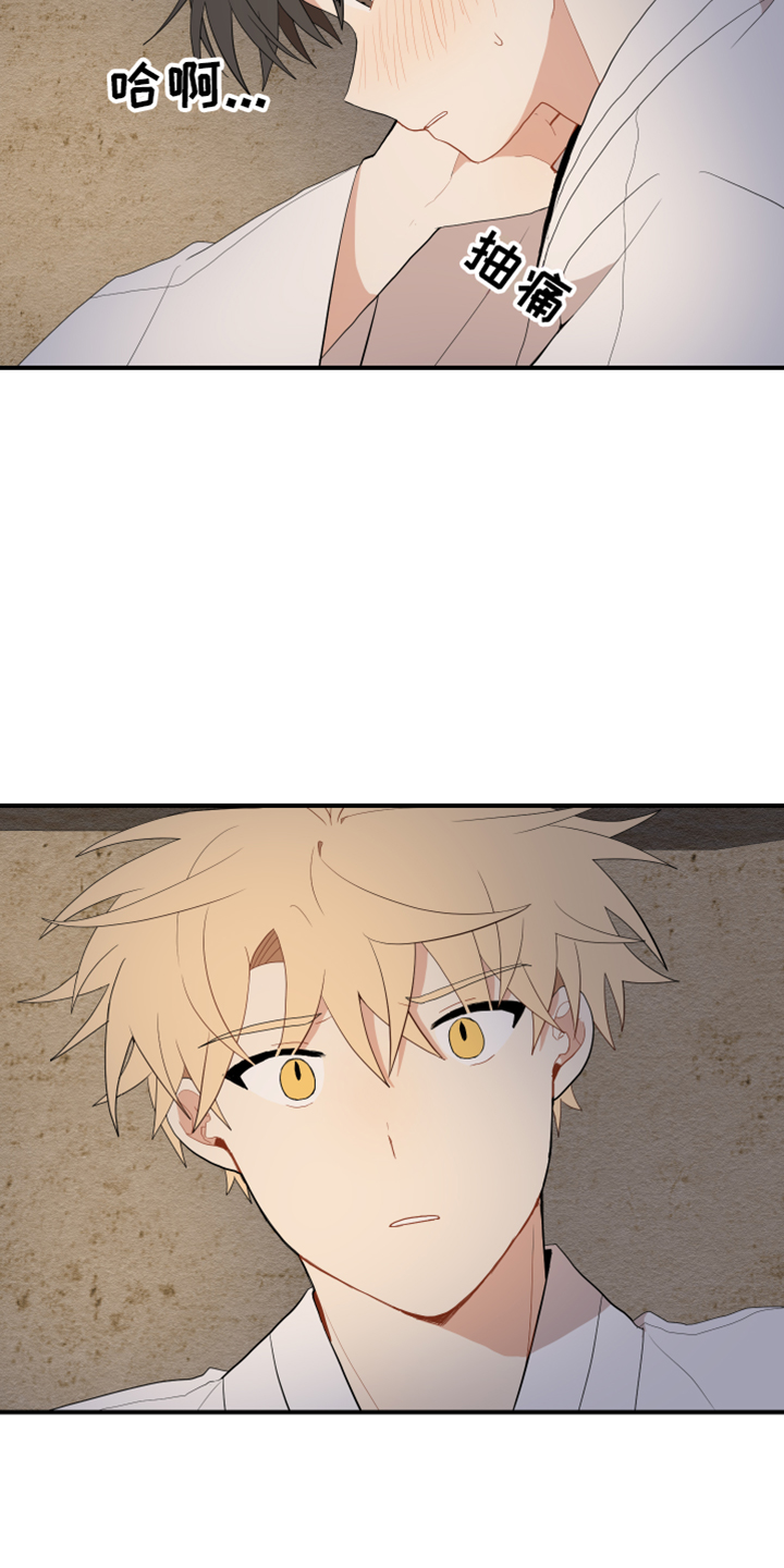 砚与龙漫画,第49章：去哪了1图