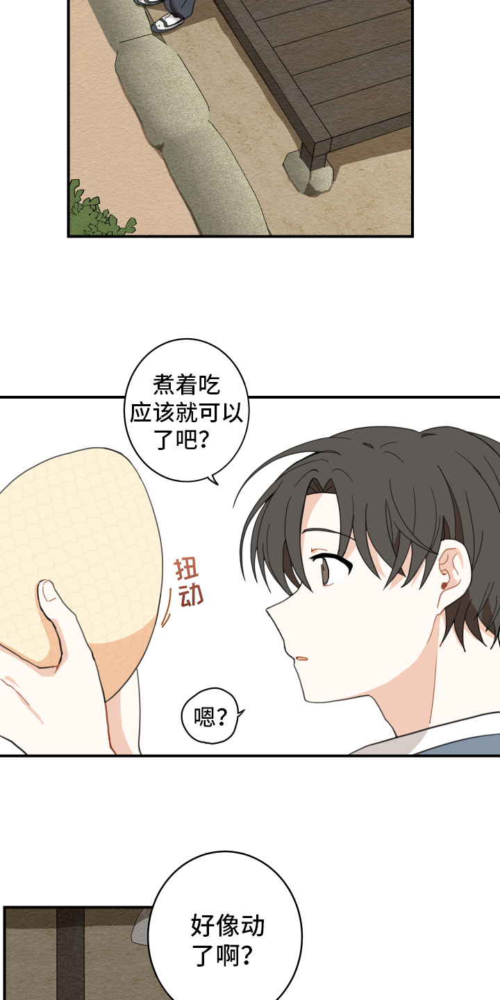 砚与龙完结了吗漫画,第2章：孵化5图