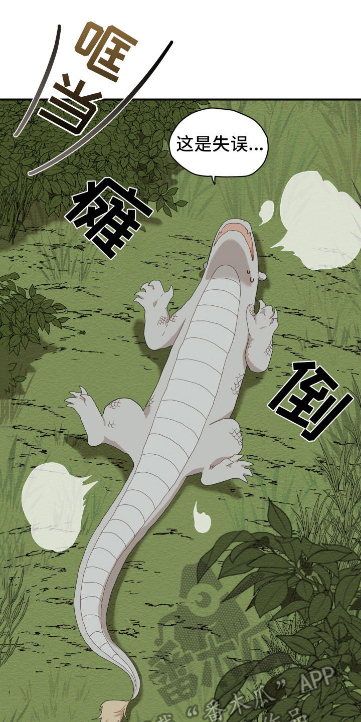 虎与龙漫画,第6章：失误1图