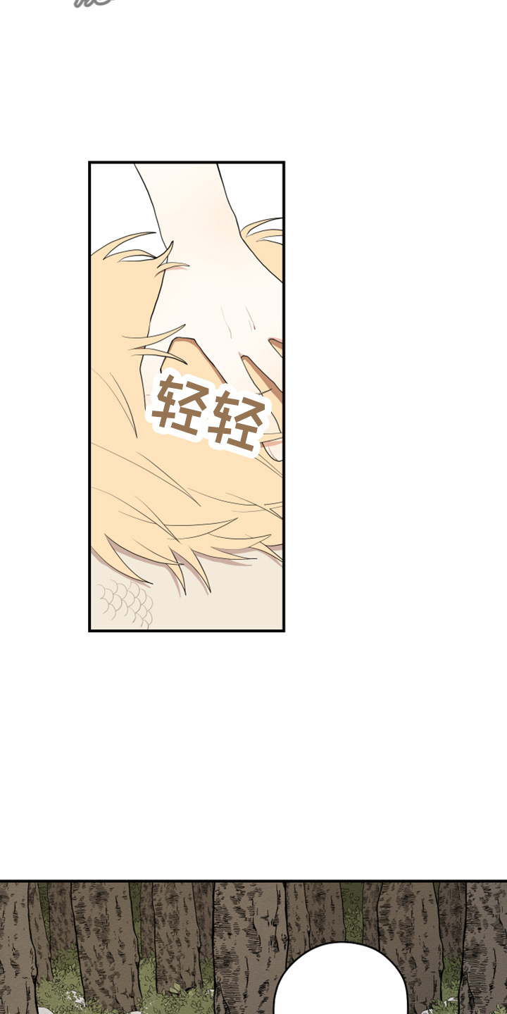 砚与龙完结了吗漫画,第42章：喜欢你2图