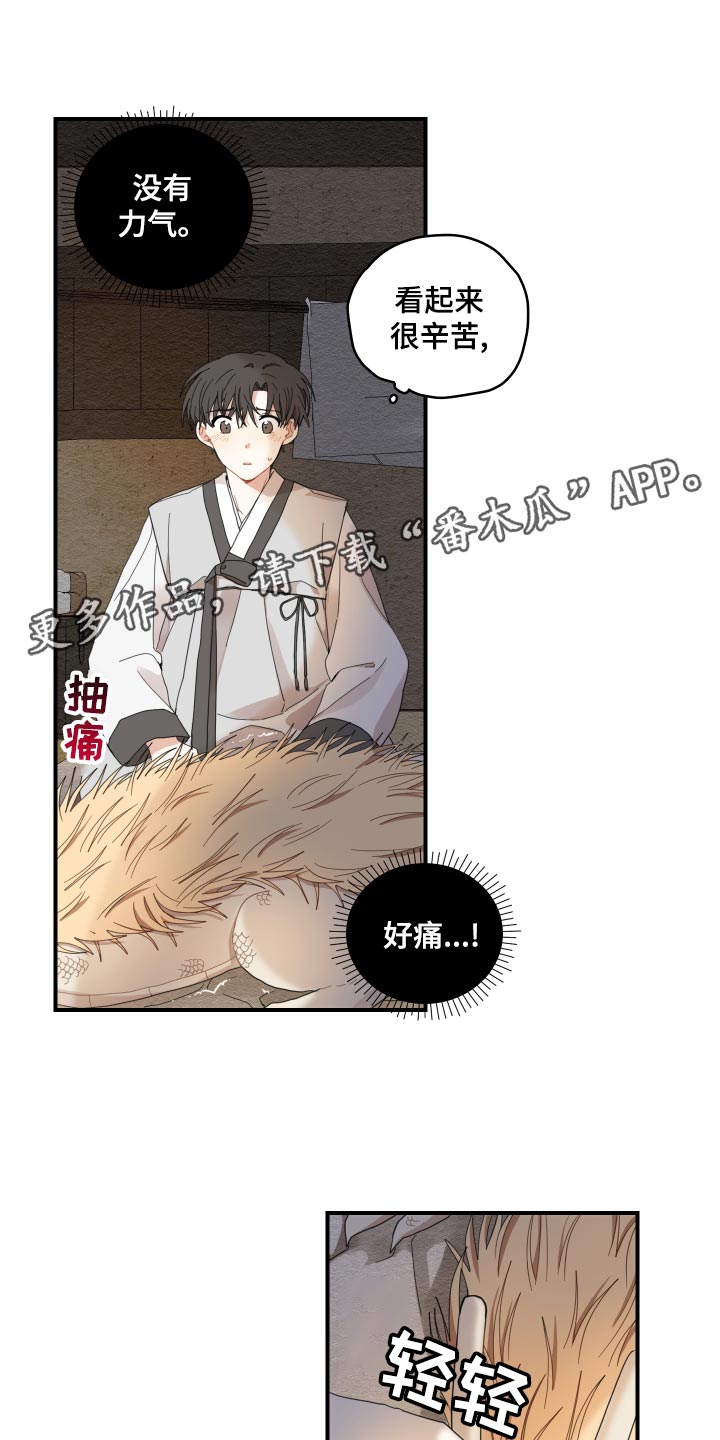 砚与龙漫画,第23章：发烧4图