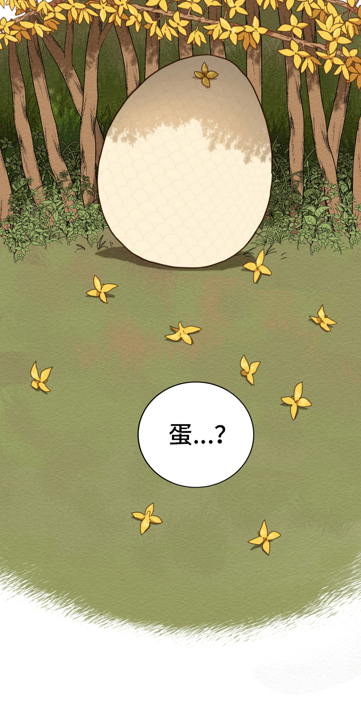 砚与龙完结了吗漫画,第2章：孵化4图