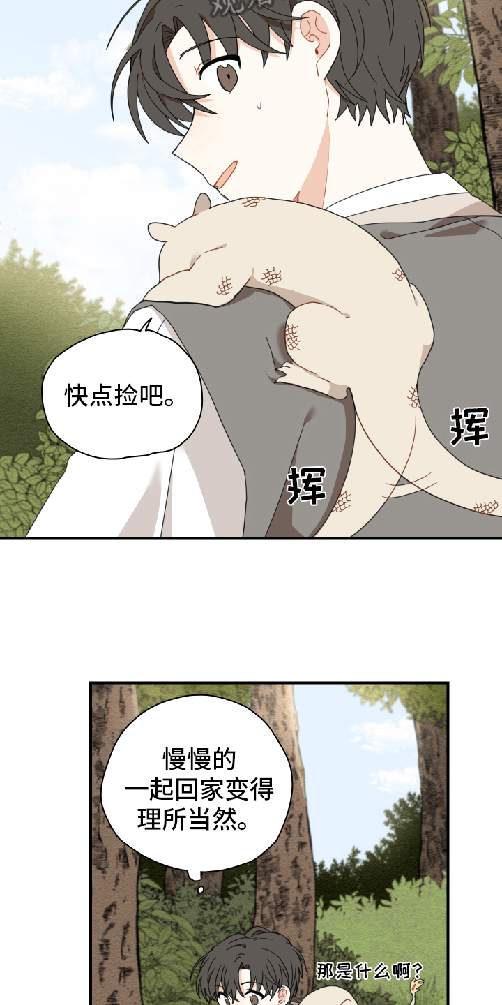 砚与龙漫画,第15章：体质2图