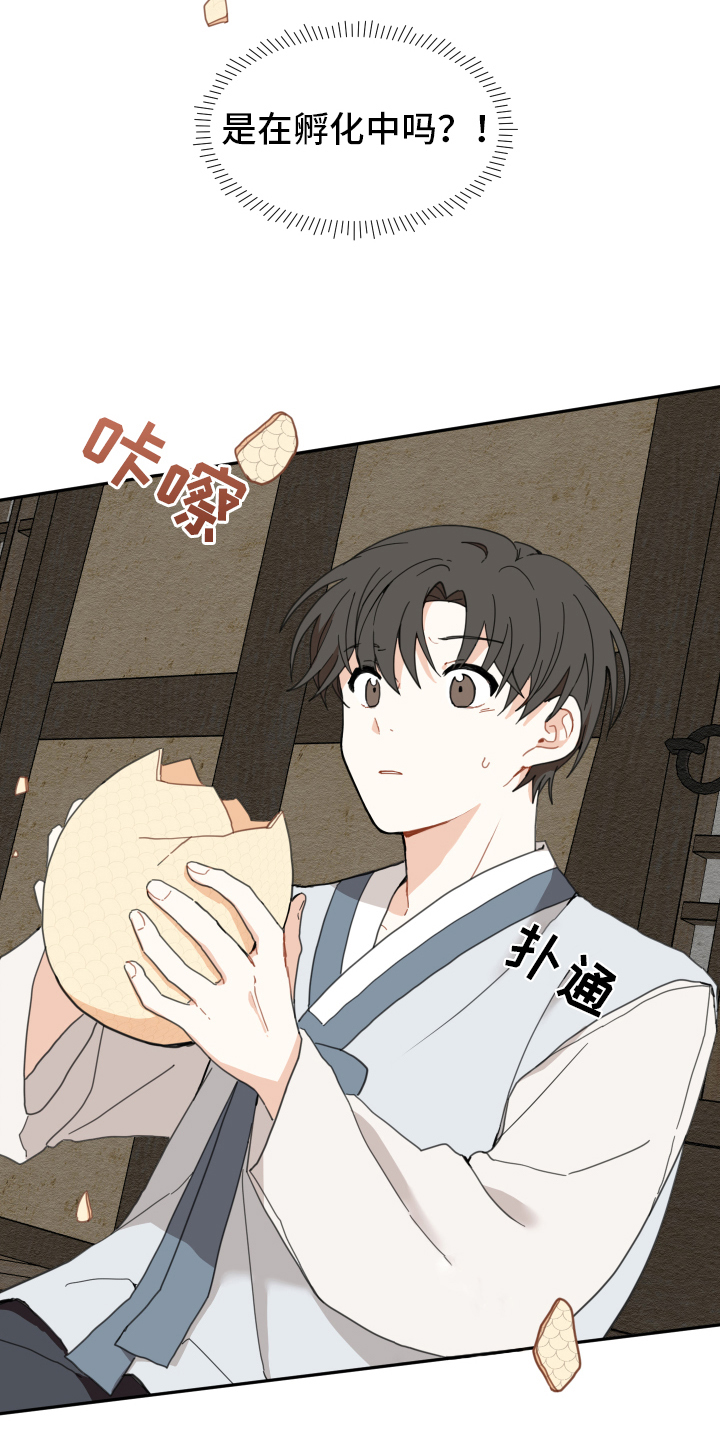 砚与龙完结了吗漫画,第2章：孵化2图