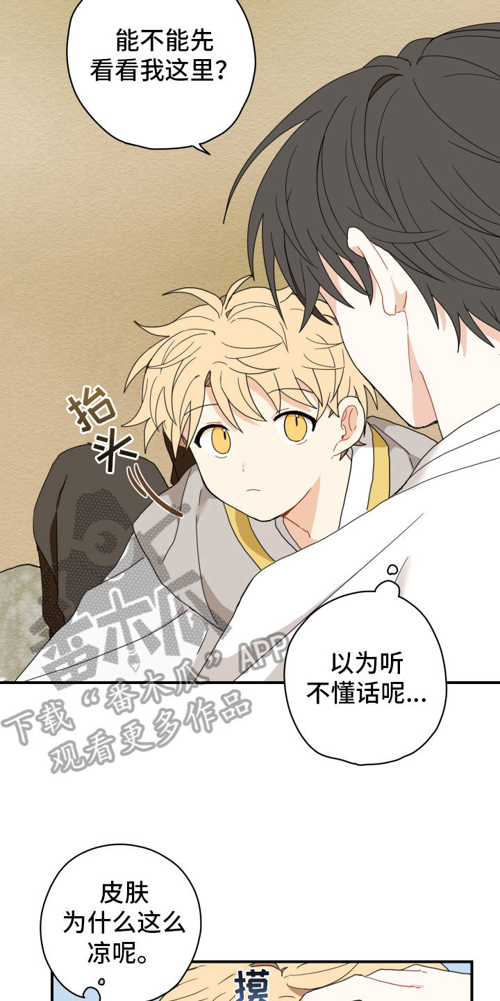 砚与龙漫画,第11章：依赖4图