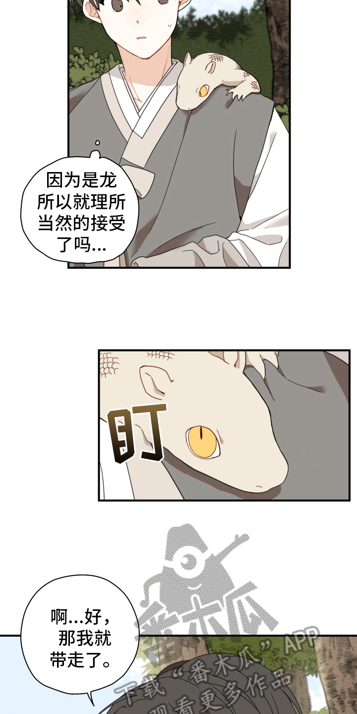 砚与龙漫画,第15章：体质1图