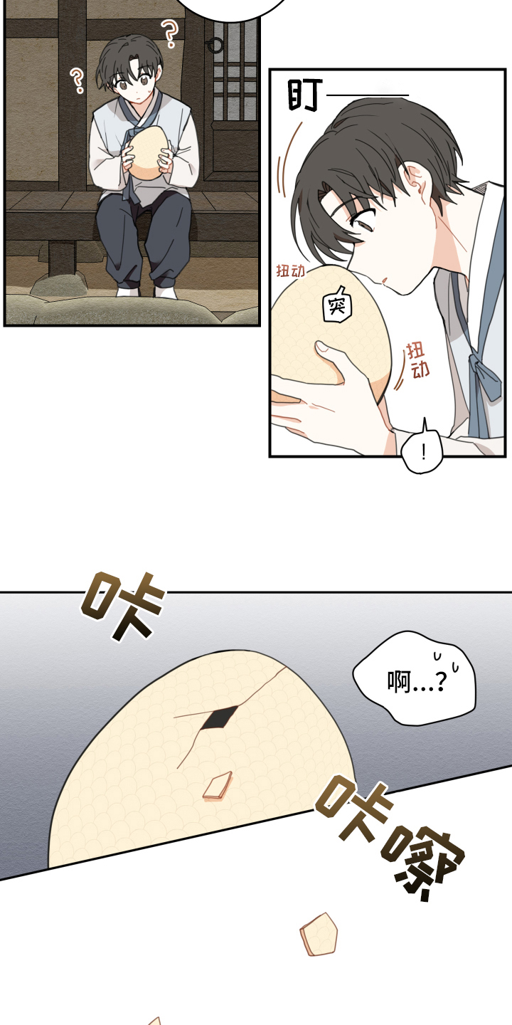 砚与龙完结了吗漫画,第2章：孵化1图