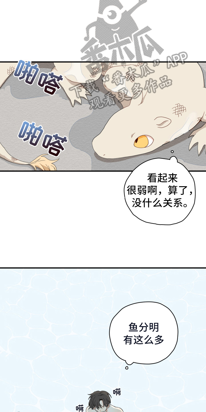 砚与龙漫画,第8章：抓鱼5图
