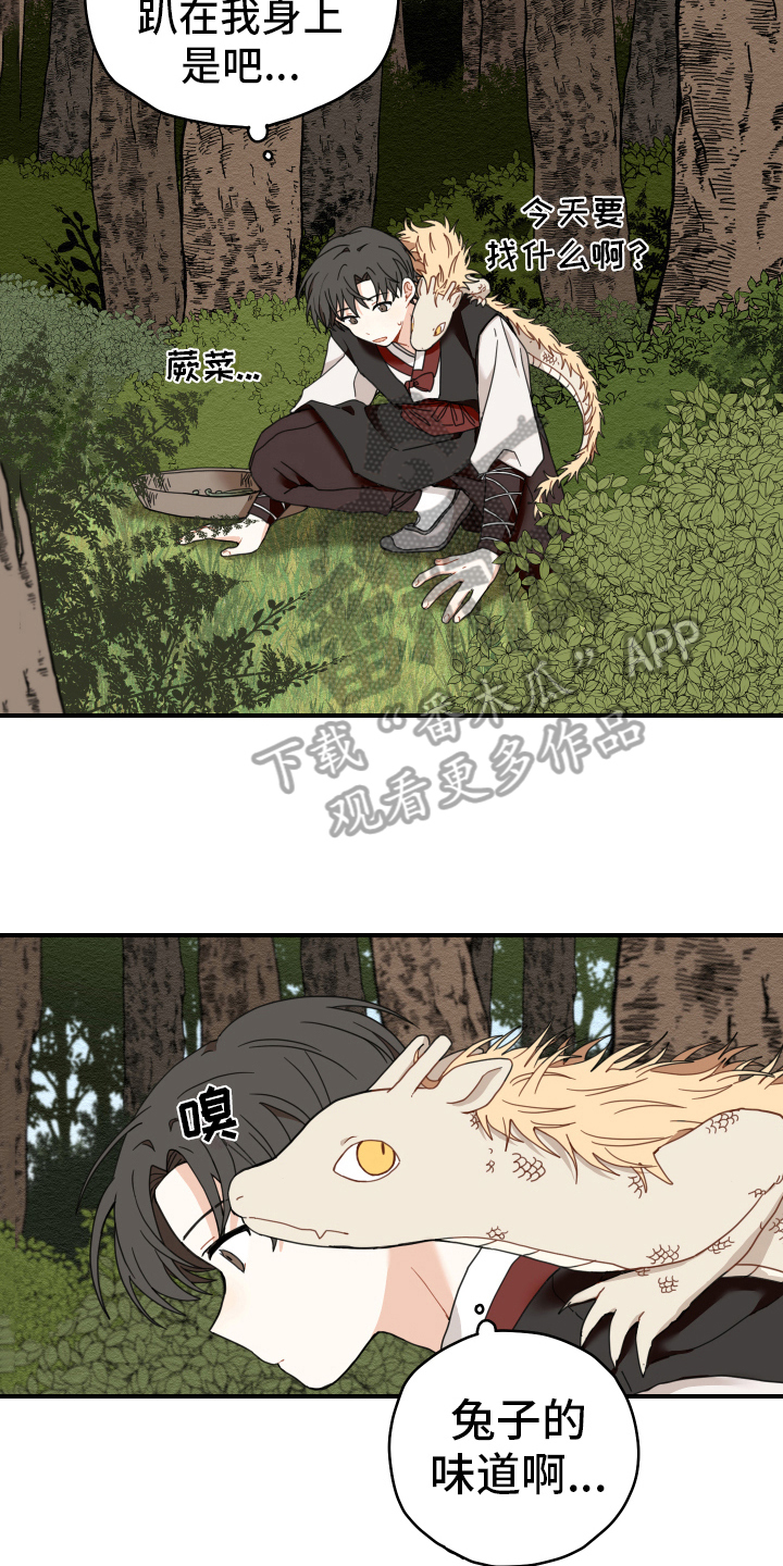 虎与龙漫画,第18章：猎人5图