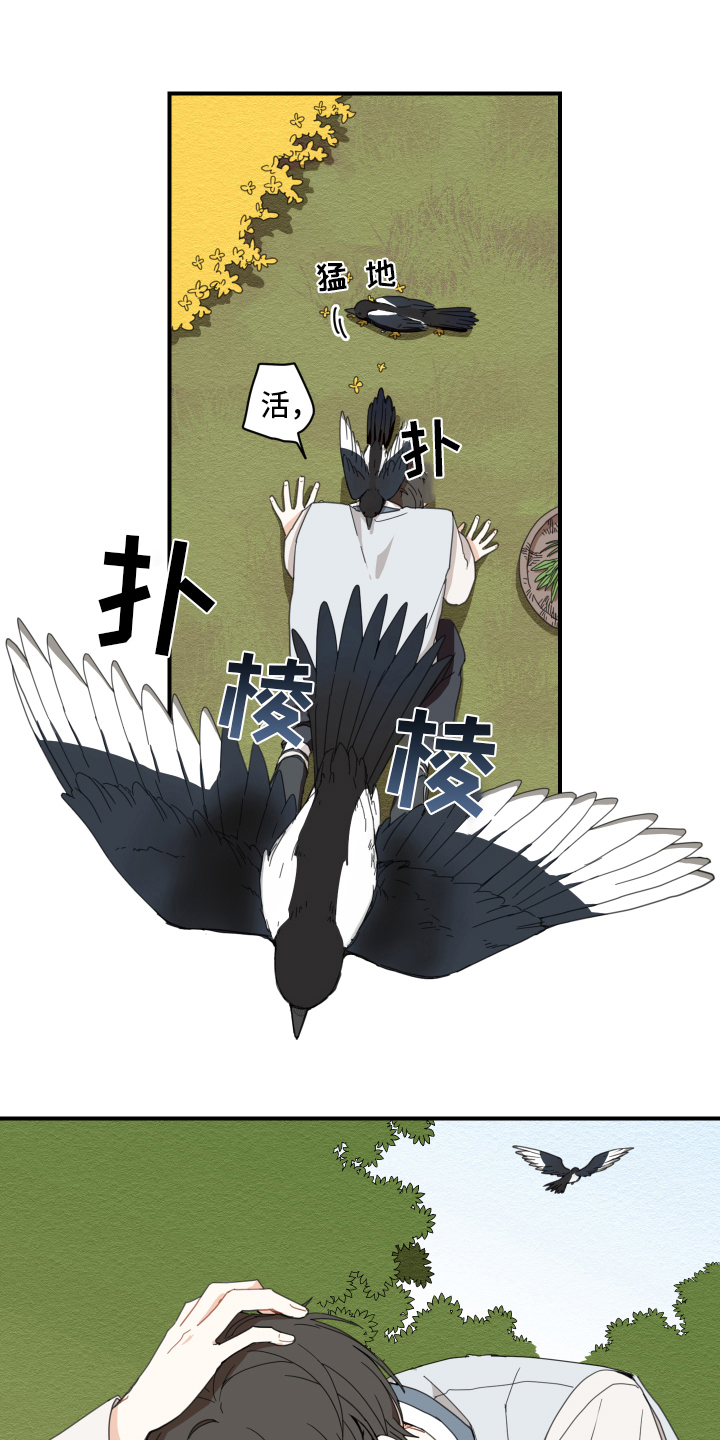 砚与龙完结了吗漫画,第2章：孵化1图