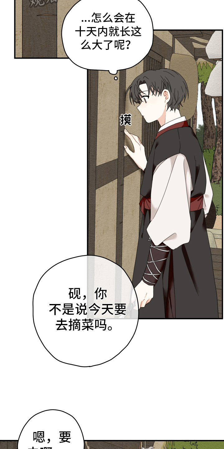 虎与龙漫画,第18章：猎人2图