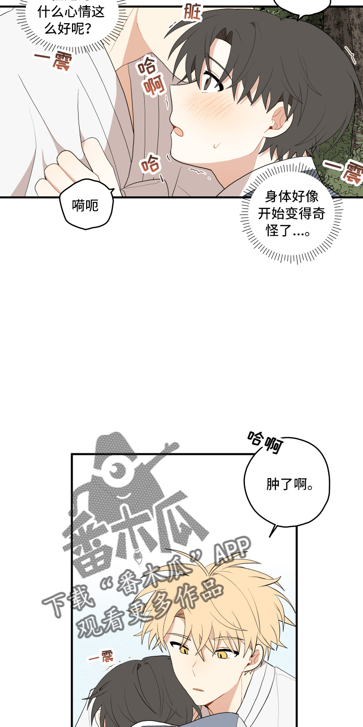 砚与龙完结了吗漫画,第40章：变熟悉1图
