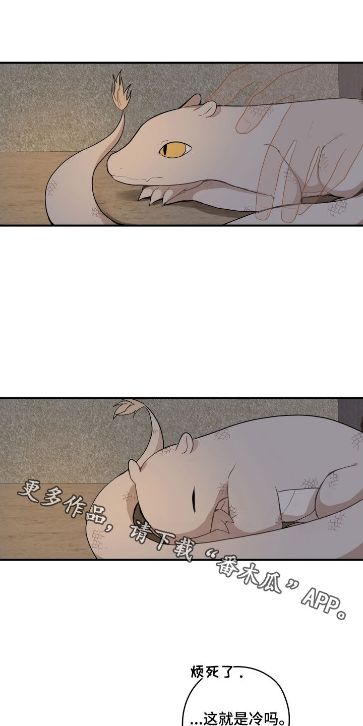 砚与龙完结了吗漫画,第59章：【番外】好冷2图