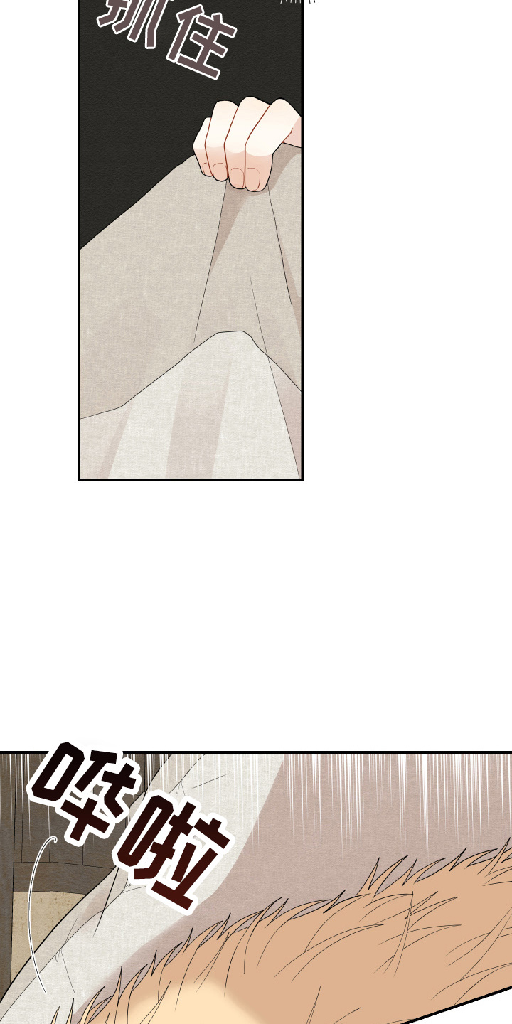 虎与龙漫画,第38章：喜欢上了1图