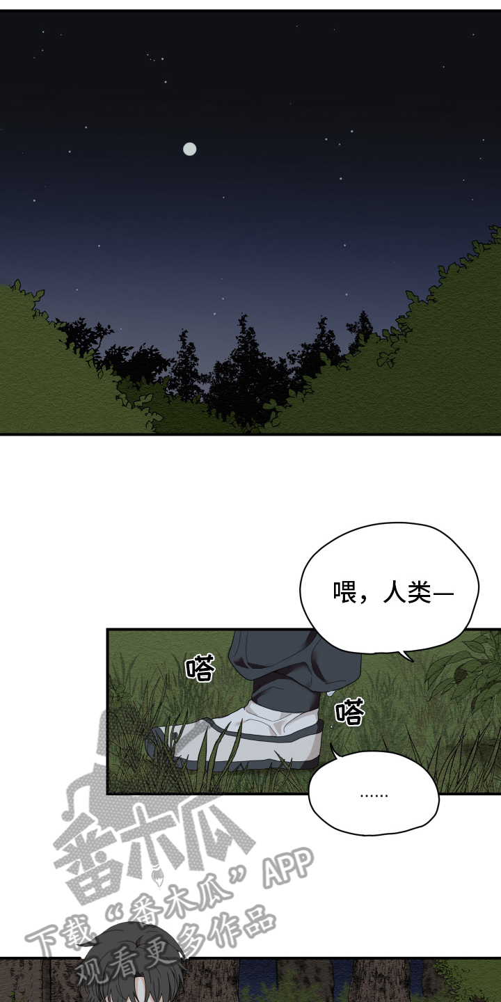 虎与龙漫画,第6章：失误3图