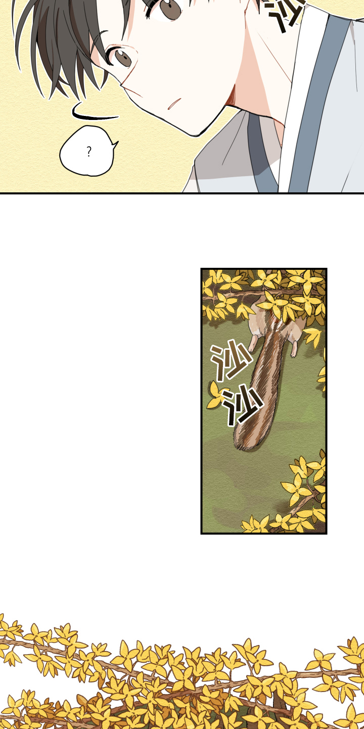 砚与龙完结了吗漫画,第2章：孵化3图