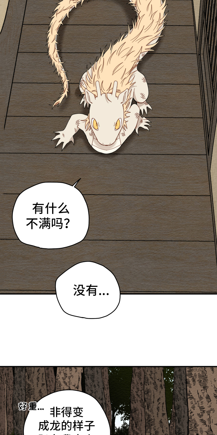 虎与龙漫画,第18章：猎人4图