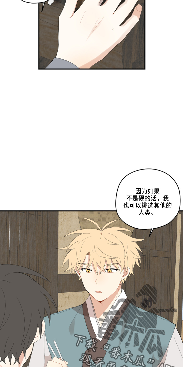 砚与龙漫画,第46章：挑选5图