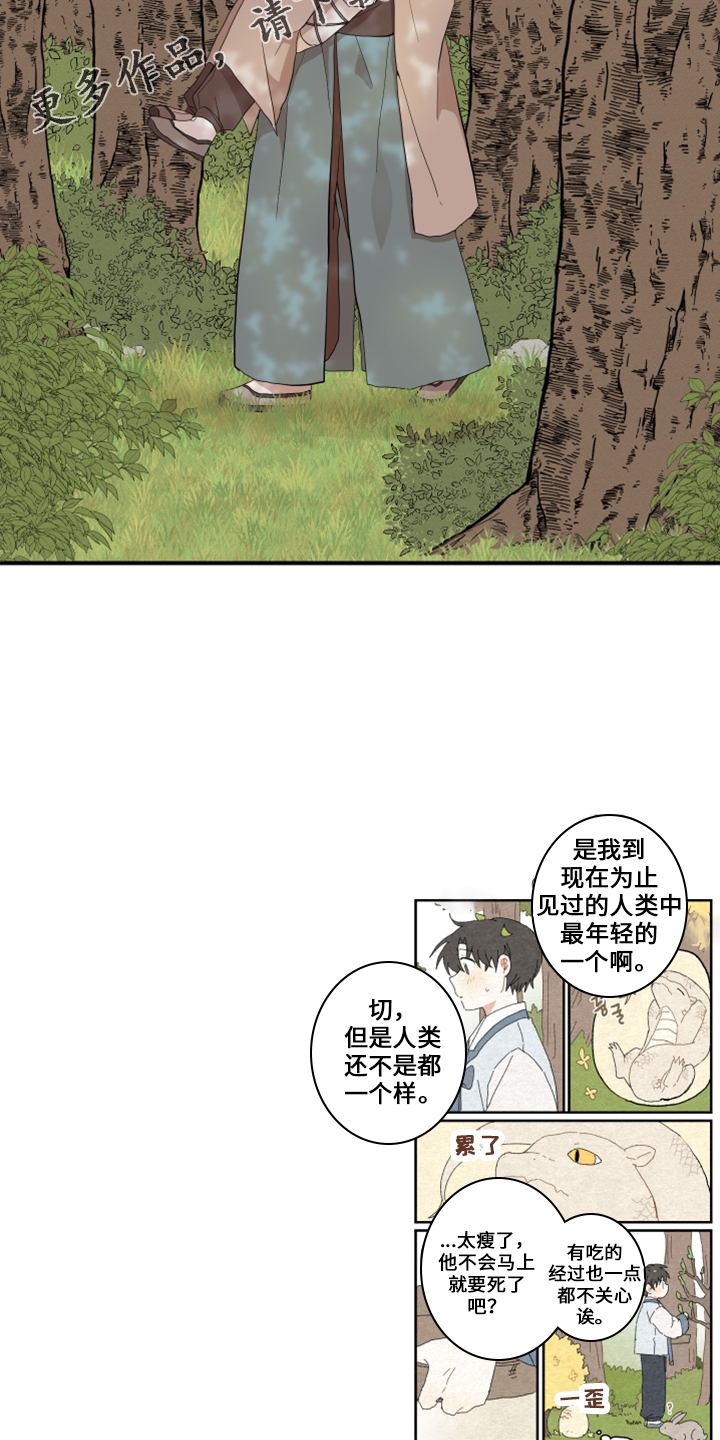 砚与龙完结了吗漫画,第48章：想吐1图